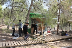 Yatir Irrigation Experiment 2015 picture no. 1