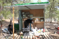 Yatir Irrigation Experiment 2015 picture no. 2