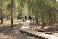 Yatir Irrigation Experiment 2015 picture no. 6