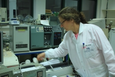 The Stable Isotopes Lab   picture no. 7