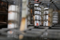 The Eco-physiology Lab picture no. 1