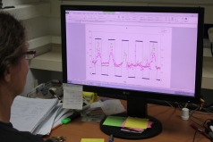 The Stable Isotopes Lab   picture no. 22