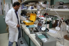 The Eco-physiology Lab picture no. 11