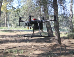 Yatir forest, March 2018 picture no. 2