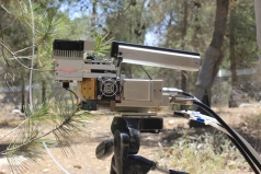 The Yatir Forest - April 2013 picture no. 4