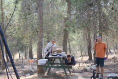 The Yatir Forest - April 2013 picture no. 6