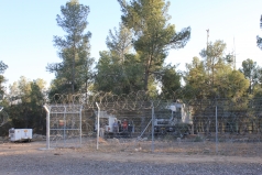 The Yatir Forest - April 2013 picture no. 7