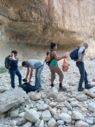 KIT Dead Sea 2014 picture no. 19