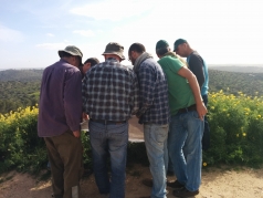 Amatzia - JNF 2014 picture no. 5