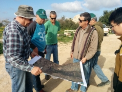 Amatzia - JNF 2014 picture no. 6