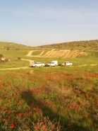 Amatzia - JNF 2014 picture no. 14