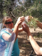 KIT Tour 2015 picture no. 16