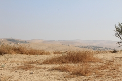 The Mobile Lab -Yatir desert June 2011 picture no. 1