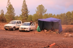 The Yatir Forest - Nov. 2011 picture no. 2