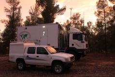 The Yatir Forest - Nov. 2011 picture no. 4