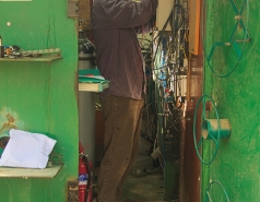 Yatir forest, January 2018 picture no. 1