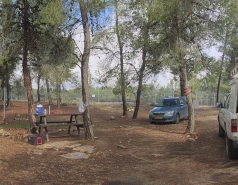 Yatir forest, January 2018 picture no. 2