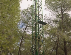 Yatir forest, January 2018 picture no. 4