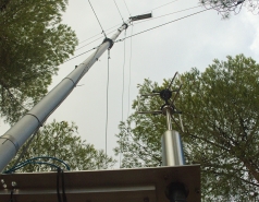 Yatir forest, January 2018 picture no. 5