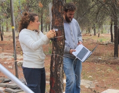 Yatir forest, January 2018 picture no. 7