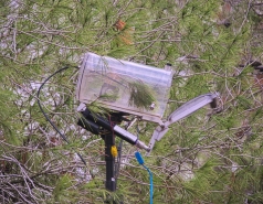 Yatir forest, January 2018 picture no. 9