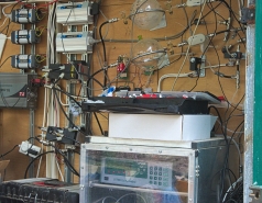 Yatir forest, January 2018 picture no. 10