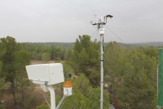 The Yatir Forest - Nov. 2011 picture no. 7