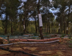 Yatir forest, January 2018 picture no. 14