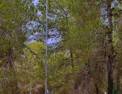 Yatir forest, January 2018 picture no. 16