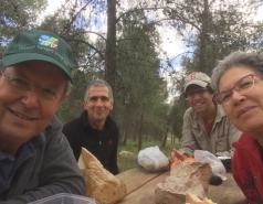 Multiple visits picture no. 3