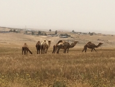 KIT Tour 2015 picture no. 5