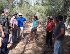 Multiple visits picture no. 9