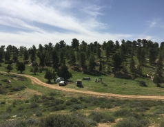 Multiple visits picture no. 11