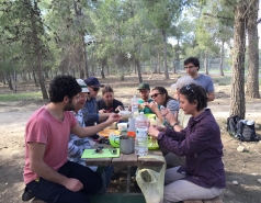 Multiple visits picture no. 12