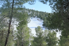 The Yatir Forest - Snow in 2015 picture no. 10