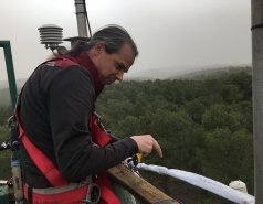 Multiple visits picture no. 18