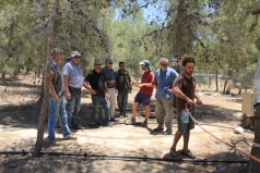 Yatir Irrigation Experiment 2015 picture no. 7