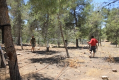 Yatir Irrigation Experiment 2015 picture no. 8