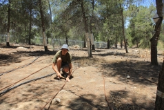 Yatir Irrigation Experiment 2015 picture no. 9