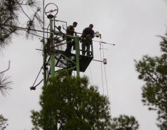 The Yatir Forest - Snow in 2015 picture no. 2