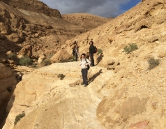 Wadi Hatira 2015 picture no. 8