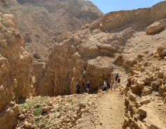 Wadi Heimar 2019 picture no. 12