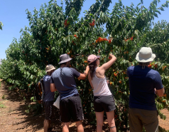 Golan Heights 2024 picture no. 1