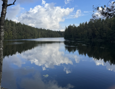 Nuuksio, Finland 2025 picture no. 5