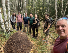 Nuuksio, Finland 2025 picture no. 14