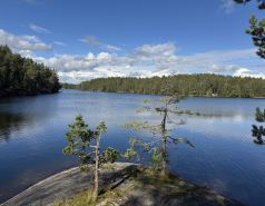 Nuuksio, Finland 2025 picture no. 18