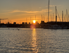 Nuuksio, Finland 2025 picture no. 4