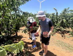 Golan Heights 2024 picture no. 3