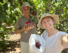 Golan Heights 2024 picture no. 4