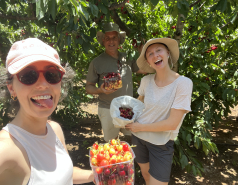 Golan Heights 2024 picture no. 5